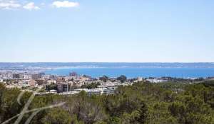 Продажа Дом Palma de Mallorca