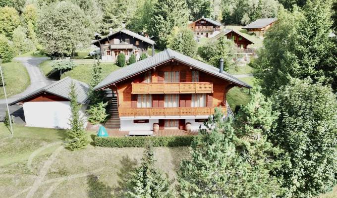 Продажа Шале Les Diablerets