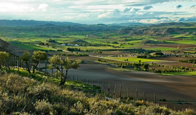 Продажа Винодельческое поместье Cuenca