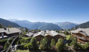 Сезонная аренда Апартаменты Verbier