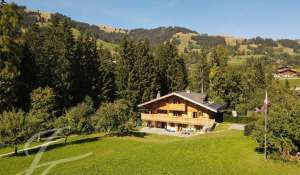 Сезонная аренда Шале Gstaad